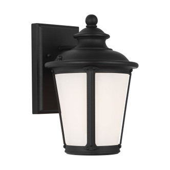 manufacturer_finish:Black|manufacturer_glass:Etched / White Inside|light_source:Unspecified|light_output:Unspecified|color_temperature:Unspecified|cri:Unspecified