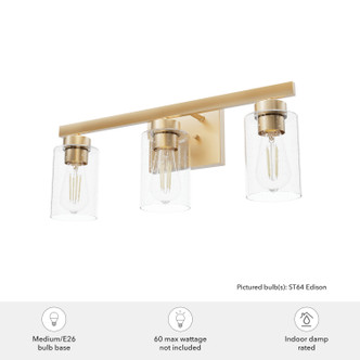 Hartland Three Light Bathroom Vanity (13078)
