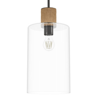 Hunter - 13112 - One Light Pendant - Vanning - Noble Bronze