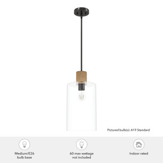Vanning One Light Pendant (13112)