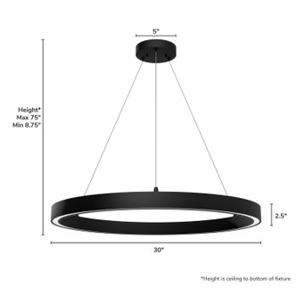 Canoga LED Chandelier (13120)