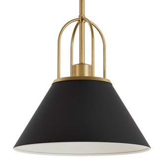 Hunter - 13163 - One Light Pendant - Carrington Isle - Matte Black