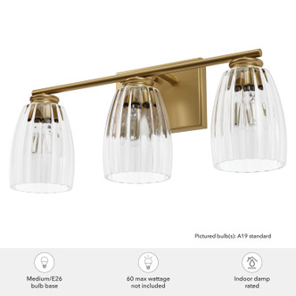 Rossmoor Three Light Bathroom Vanity (13204)