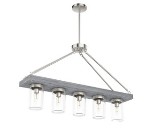 Devon Park Five Light Chandelier (19007)