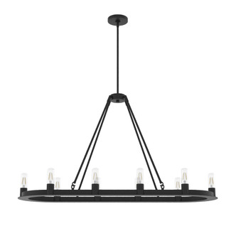 Hunter - 19027 - Ten Light Chandelier - Saddlewood - Natural Black Iron