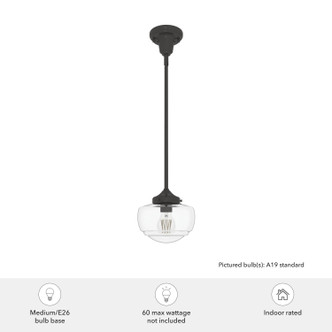 Saddle Creek One Light Pendant (19046)