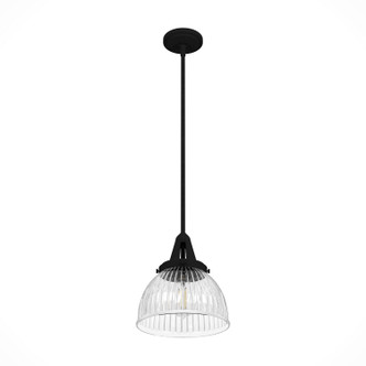 Cypress Grove One Light Pendant (19247)