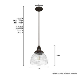 Cypress Grove One Light Pendant (19248)