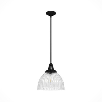 Hunter - 19249 - One Light Pendant - Cypress Grove - Natural Black Iron