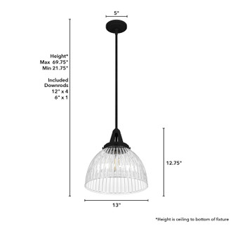 Cypress Grove One Light Pendant (19249)