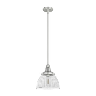 Hunter - 19328 - One Light Pendant - Cypress Grove - Brushed Nickel