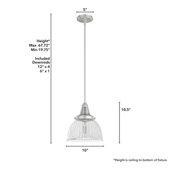 Cypress Grove One Light Pendant (19328)