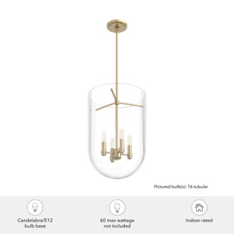 Sacha Four Light Pendant (19386)