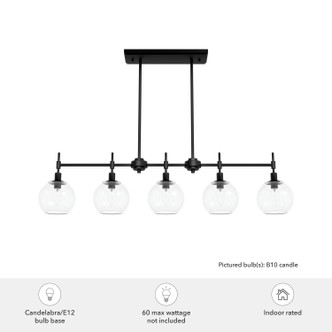 Xidane Five Light Chandelier (19511)