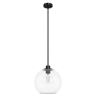 Hunter - 19512 - One Light Pendant - Xidane - Matte Black