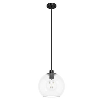 Hunter - 19513 - One Light Pendant - Xidane - Matte Black