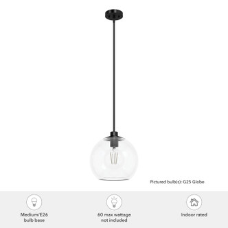Xidane One Light Pendant (19513)