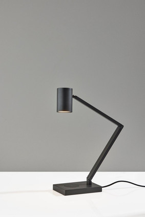 Newman LED Task Lamp (10036311BRZ)