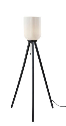 Adesso Home - 1630-01 - Floor Lamp - Kinsley - Black