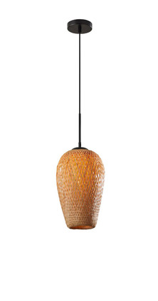 Adesso Home - 2137-12 - Pendant - Hugo - Black