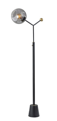 Adesso Home - 2156-01 - Floor Lamp - Dusk - Black