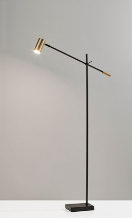 Collette LED Floor Lamp (4218-01)