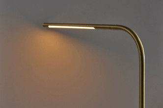 Cullen LED Desk Lamp (4353-21)