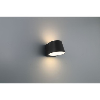 Ry LED Outdoor Wall Mount (20390LEDDMG-BL/FST)