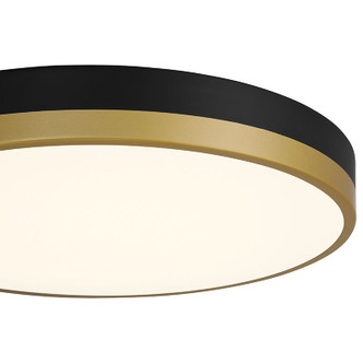 Coco LED Flush Mount (20823LEDD-BWA/WHT)