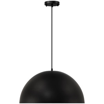 Huck One Light Pendant (23768-MBL)
