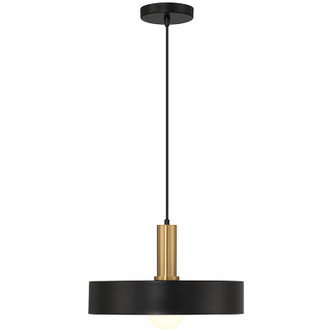 Slate One Light Pendant (23798-BWA)
