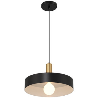 Slate One Light Pendant (23798-BWA)