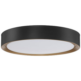 Malaga LED Flush Mount (49971LEDDLP-MBL/ACR)