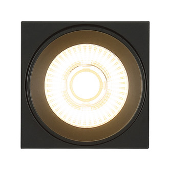 Transformer LED Flush Mount (50011LEDD-BL/CLR)