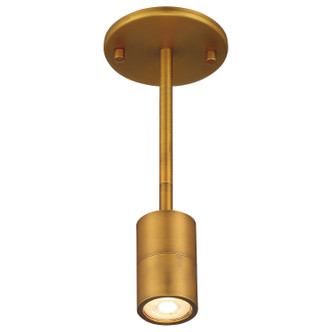 Cafe Dual Mount LED Wall Or Ceiling SpotLight (72010LEDDLP-ABB)
