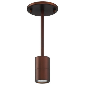 Cafe Dual Mount LED Wall Or Ceiling SpotLight (72010LEDDLP-BRZ)