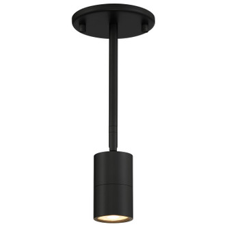 Access - 72010LEDDLP-MBL - LED Wall Or Ceiling SpotLight - Cafe Dual Mount - Matte Black