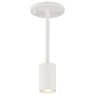 Access - 72010LEDDLP-MWH - LED Wall Or Ceiling SpotLight - Cafe Dual Mount - Matte White