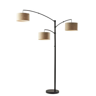 Adesso Home - 4159-26 - Three Light Floor Lamp - Cabo - Dark Bronze