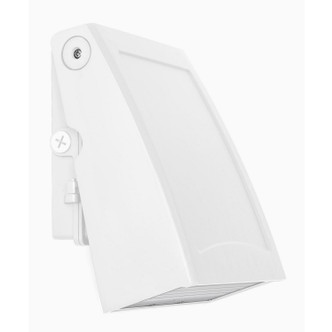 AFX Lighting - POLW0911LAJD2WH - LED Outdoor Lantern - Poly - White