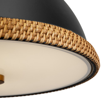 manufacturer_finish:Matte Black/Vintage Brass