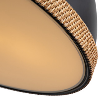 manufacturer_finish:Matte Black/Vintage Brass