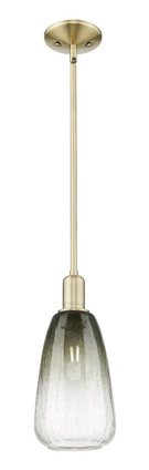 Innovations - 716-1S-AB-G480-6SL - One Light Mini Pendant - Arcadia - Antique Brass