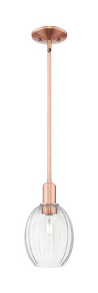 Innovations - 716-1S-AC-G459-6CL - One Light Mini Pendant - Arcadia - Antique Copper