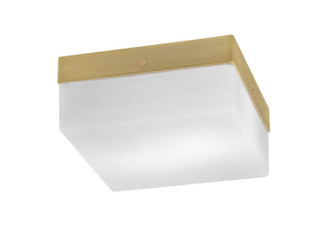 Toltec Lighting - 840-NAB-1 - Two Light Flush Mount - Flush Mounts - New Age Brass