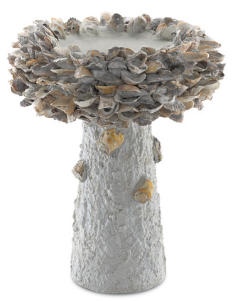 Currey and Company - 1200-0053 - Bird Bath - Oyster Shell - Portland/Natural