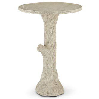 Currey and Company - 2200-0024 - Bird Bath - Portland/Faux Bois