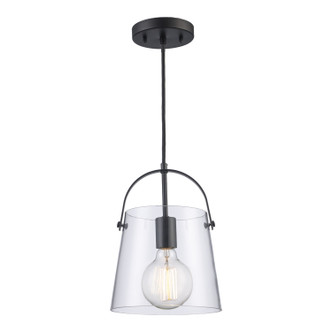 Trans Globe Imports - PND-2175 BK - One Light Pendant - Curry - Black