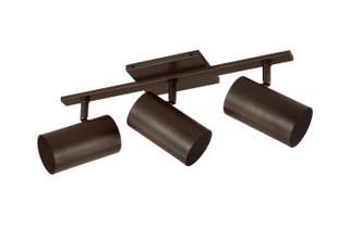 Rueben Three Light Bath (B1907-BRZ)