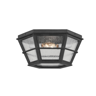 Troy Lighting - C2514-FRN - Two Light Flush Mount - Lake County - French Iron Troy Lighting - C2514-FRN - Two Light Flush Mount - Lake County - French Iron